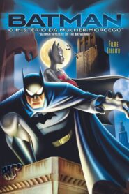 Batman: O Mistério da Mulher Morcego
