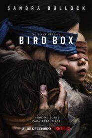 Bird Box – Caixa de Pássaros