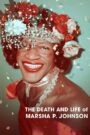 A Morte e a Vida de Marsha P. Johnson