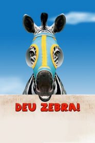 Deu Zebra!